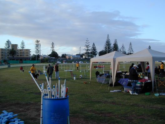 dog show, found as I came down the coast ...