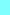 pol5.jpg image