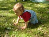 File is mona0071.jpg June 09 2021 22:43:50. 78167 bytes