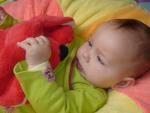 File is mona5512.jpg June 09 2021 22:43:51. 41451 bytes