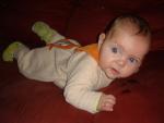 File is mona5_33.jpg June 09 2021 22:43:51. 30518 bytes