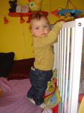 File is mona8618.jpg June 09 2021 22:43:52. 47094 bytes