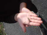File is mona8679-t.jpg June 09 2021 22:43:50. 2806 bytes